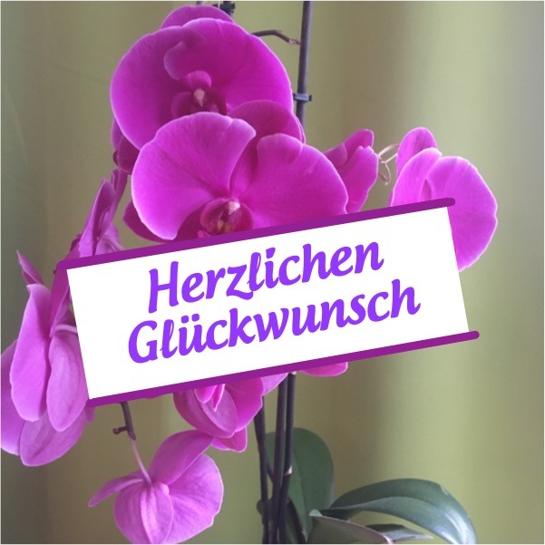 Beitragsbild Blume. Text: Herzlichen Glückwunsch!